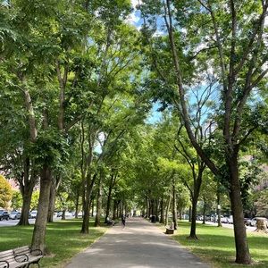 Meet your Posher, Maisie